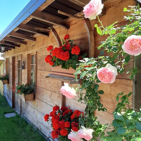 Appartamento Per Vacanze "Il Gelso" Rovereto  Exteriér fotografie