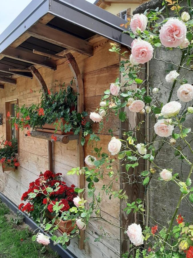 Appartamento Per Vacanze "Il Gelso" Rovereto  Exteriér fotografie