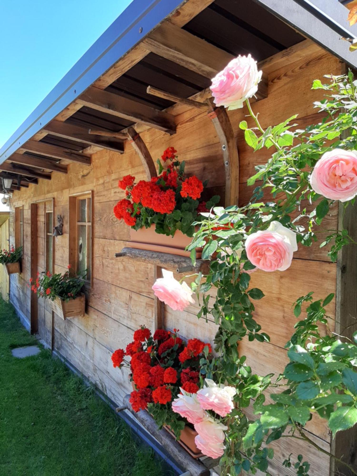 Appartamento Per Vacanze "Il Gelso" Rovereto  Exteriér fotografie